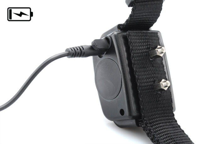 Dog Training Collar With Remote Control - 3